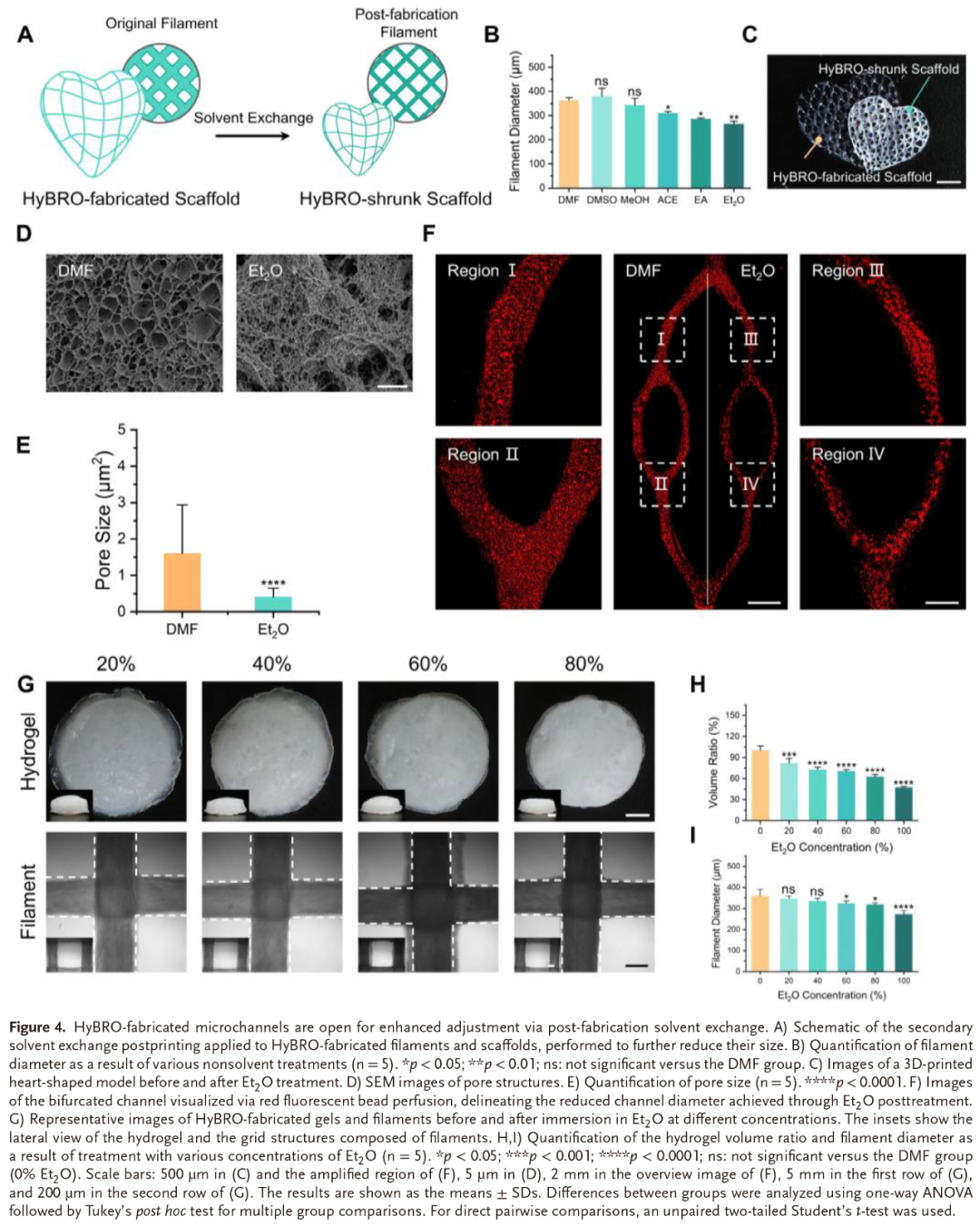 【Materials Studio应用实例】中国科学院成果展示:HyBRO技术实现高适应性多尺度血管网络3D打印