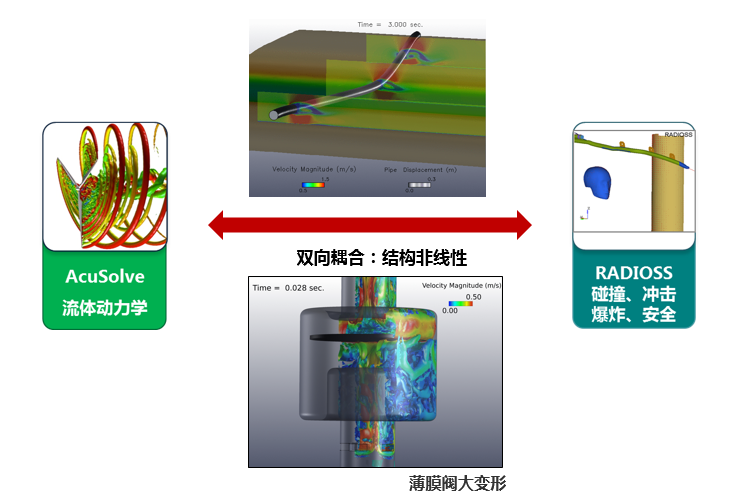 图-流体和非线性柔性体耦合分析