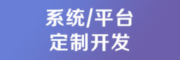 一网天行系统/平台定制开发