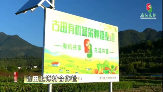 「康红生鲜」签约弘人网络C-WMS，启动仓储数字化升级！