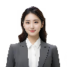 软件顾问