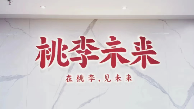 WPS 365× 桃李未来：教育集团教学资产安全管控与数字化协同办公落地案例