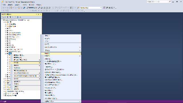 SOLIDWORKS PDM库备份