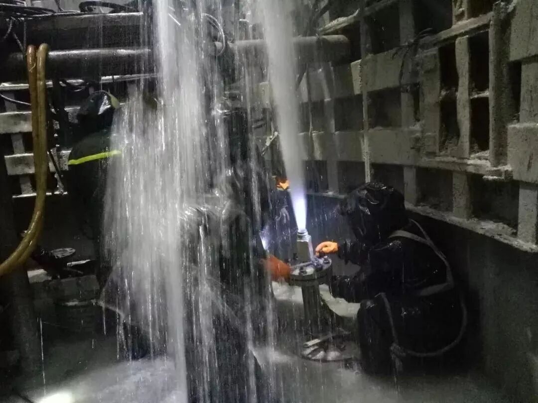 “世界上最难建的铁路”——大理至瑞丽铁路，BIM综合应用实践