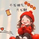 软件顾问