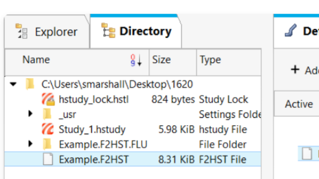 HyperStudy+Flux-HS