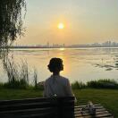 软件顾问