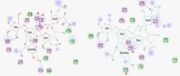 【Discovery Studio文献解读】靶向GD2 与T细胞CD3分子的双特异性抗体结构优化