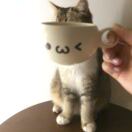 吴小姐