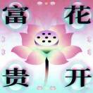 金思语
