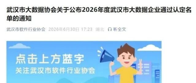 喜报｜武汉璞华大数据成功入选2026年度武汉市大数据企业认定名单