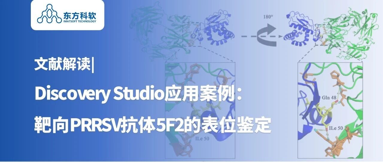 文献解读 | Discovery Studio应用案例：靶向PRRSV抗体5F2的表位鉴定