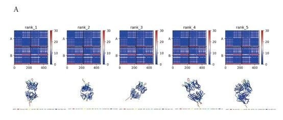 【Discovery Studio文献解读】基于分子对接的VLP18-Fab抗体表位鉴定